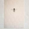 Honey Bee Prism - Clear Star, Clear Circle and Clear Hexagon - Image 3
