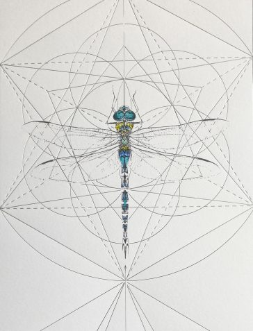 Emperor Dragonfly Prism - Egyptian Hand-Finished