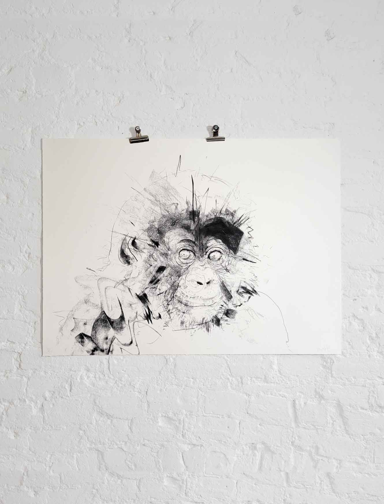 Baby Gorilla - charcoal