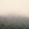 Transitional Echoes XV - Half Size - Image 3