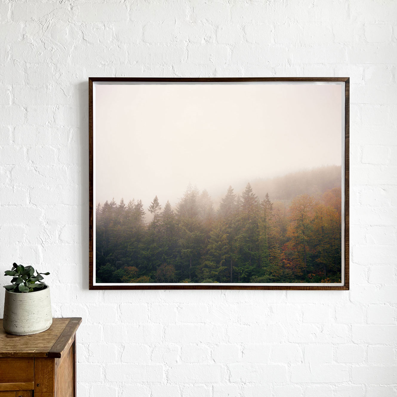 NEW PHOTOGRAPHIC PRINTS