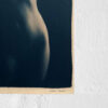 Dove - Image 4