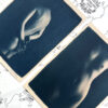 Dove - Image 6