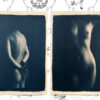 Dove - Image 8