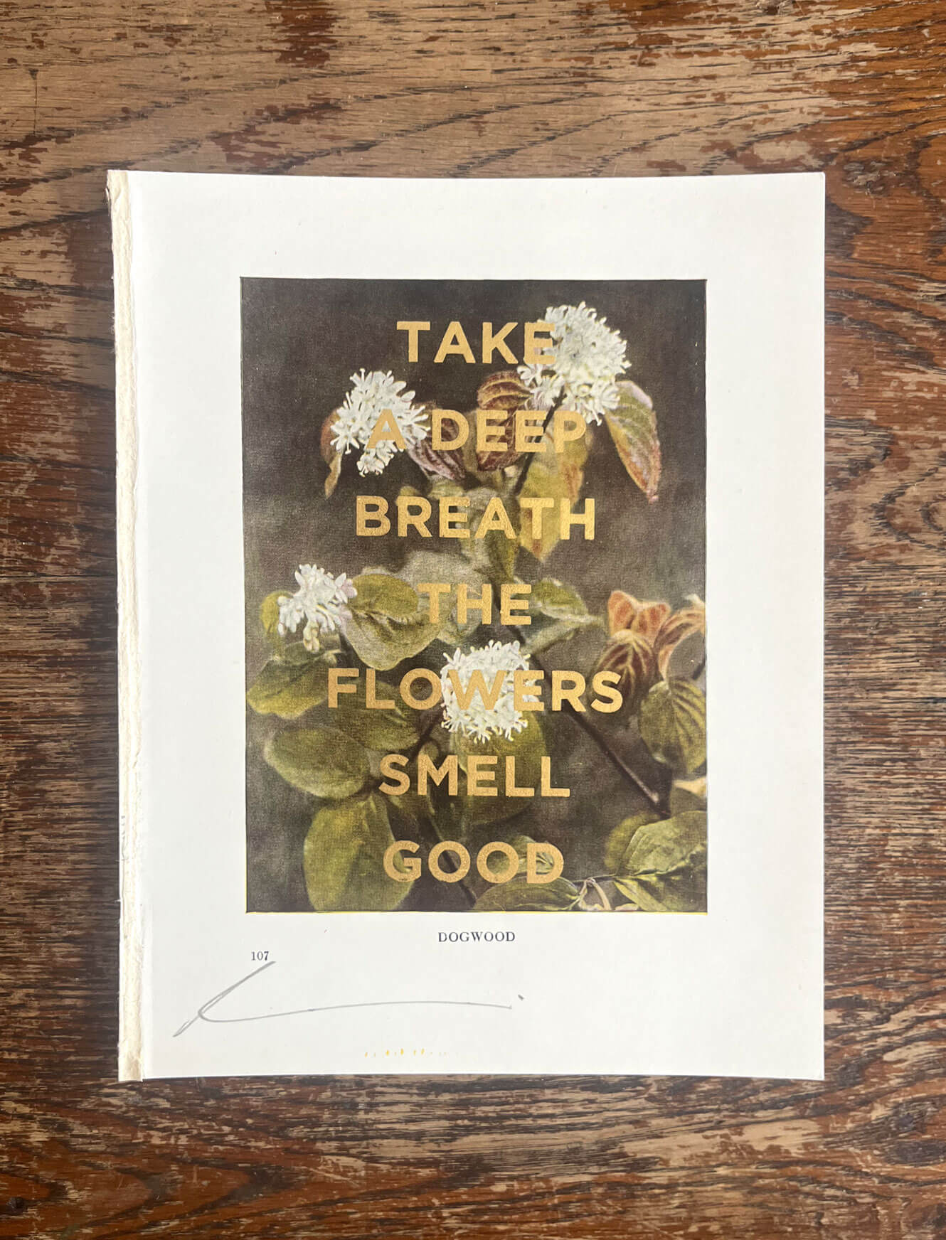 Take A Deep Breath The Flowers Smell Good - Bijou by Dave