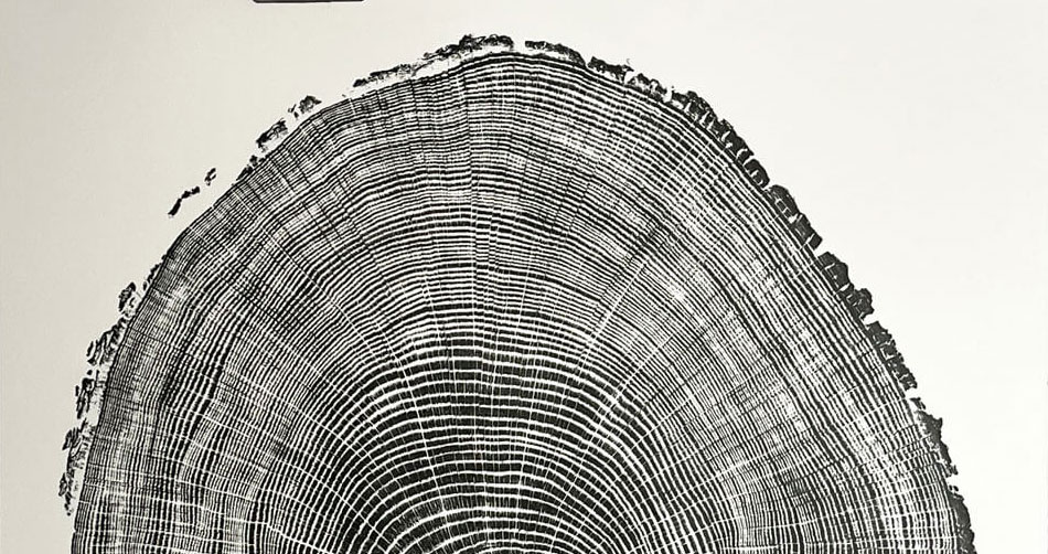 Alan Cameron Artwork