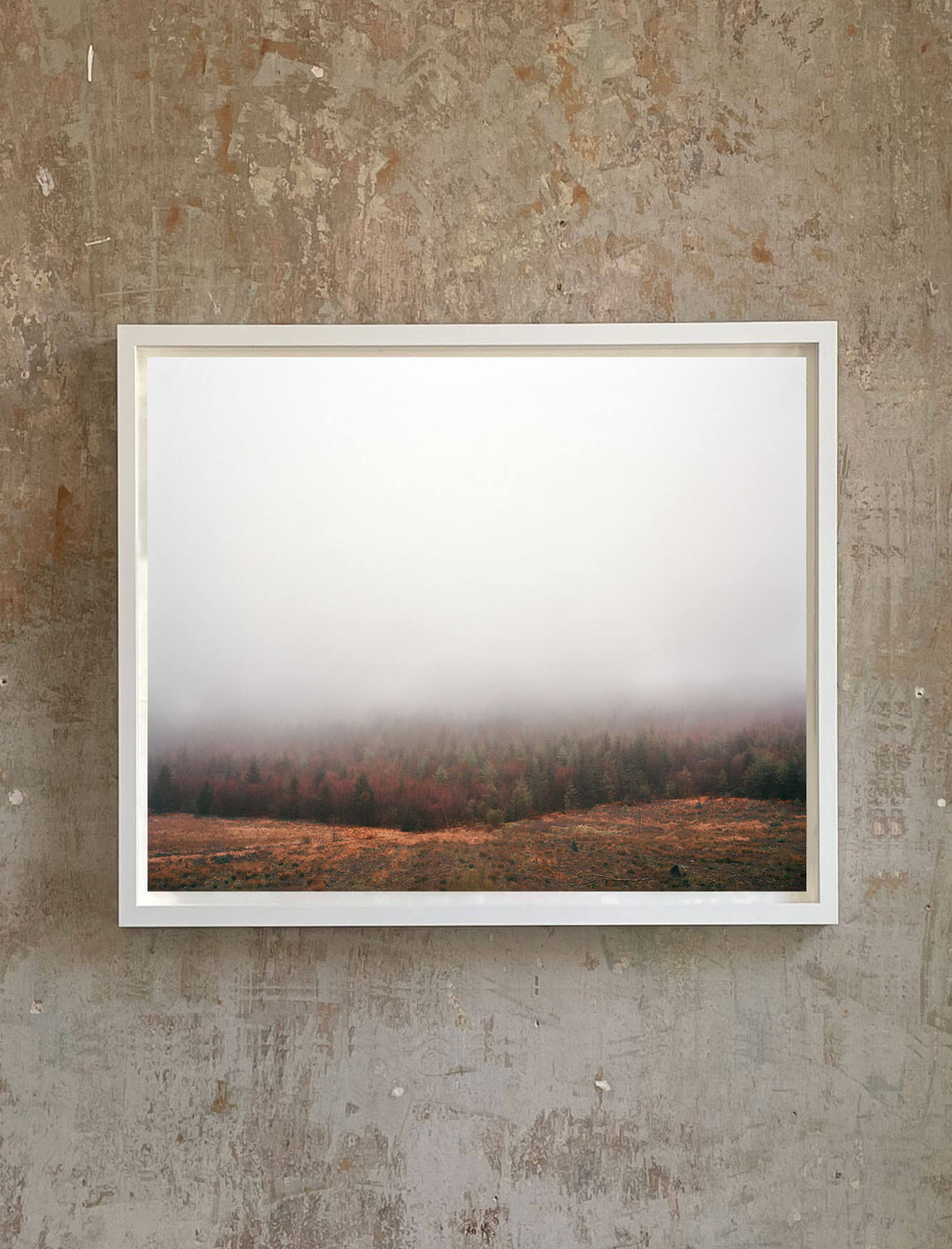 Transitional Echoes XLIV - Half Size - Image 2