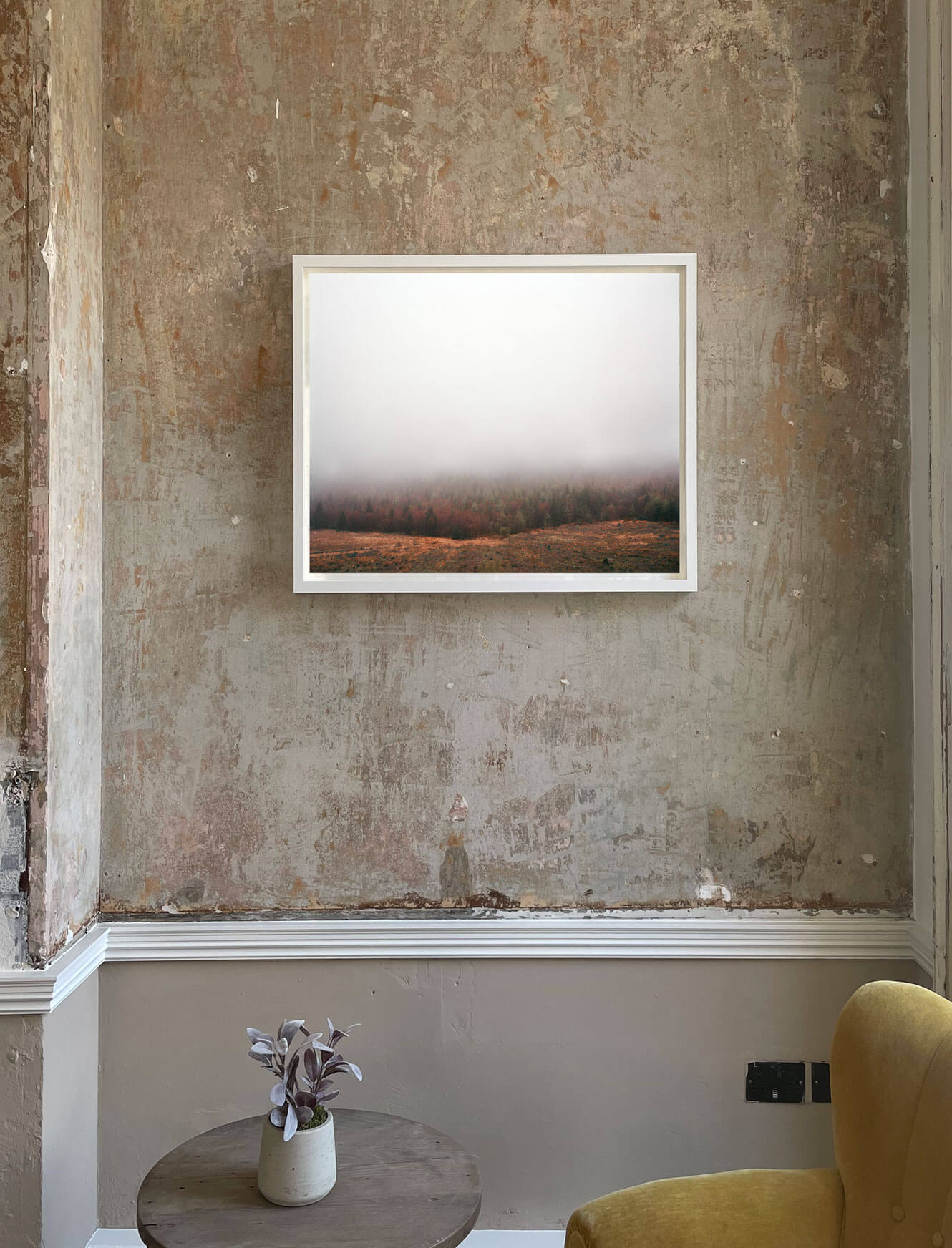 Transitional Echoes XLIV - Half Size