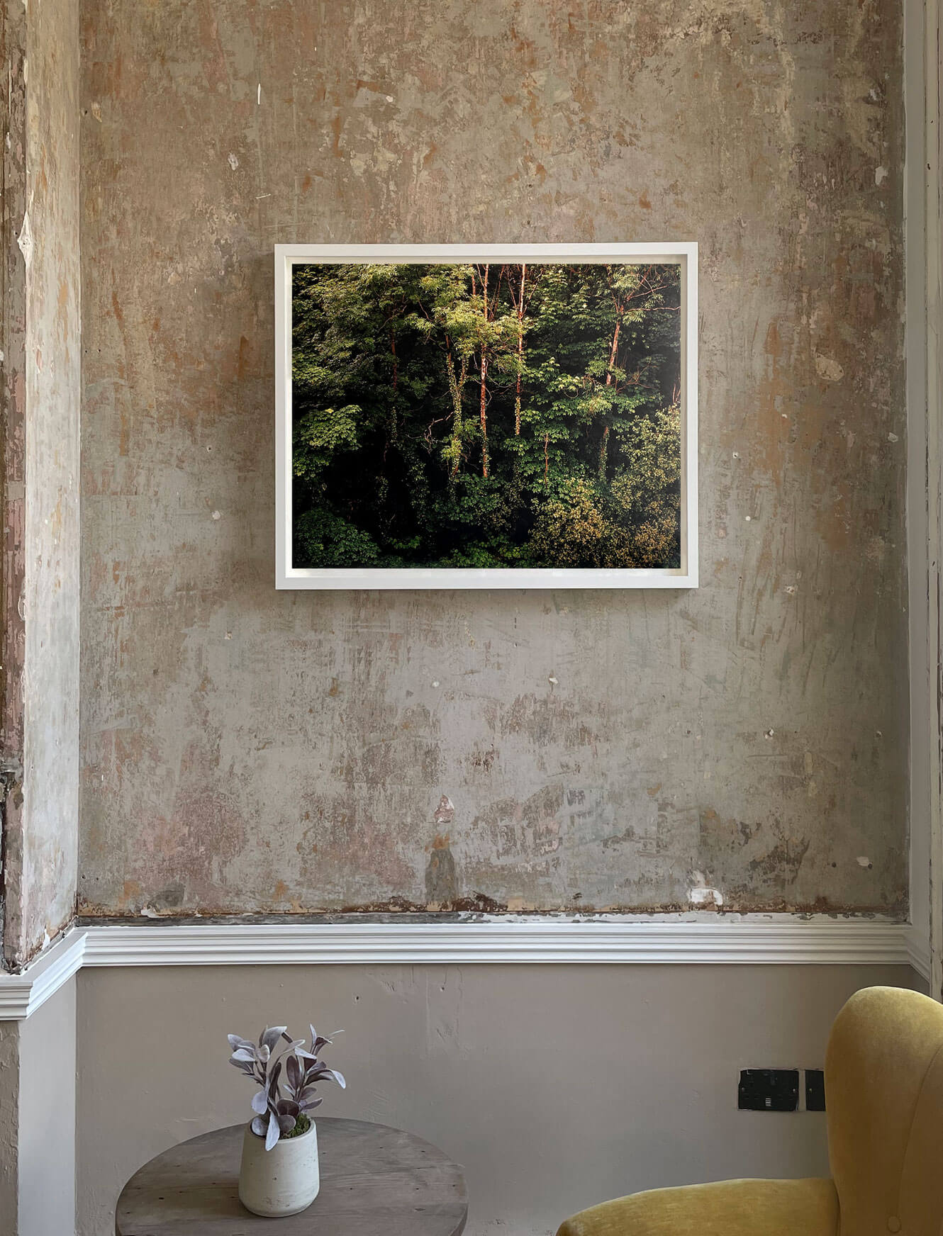 Edge of Summer Forest VI - Half Size