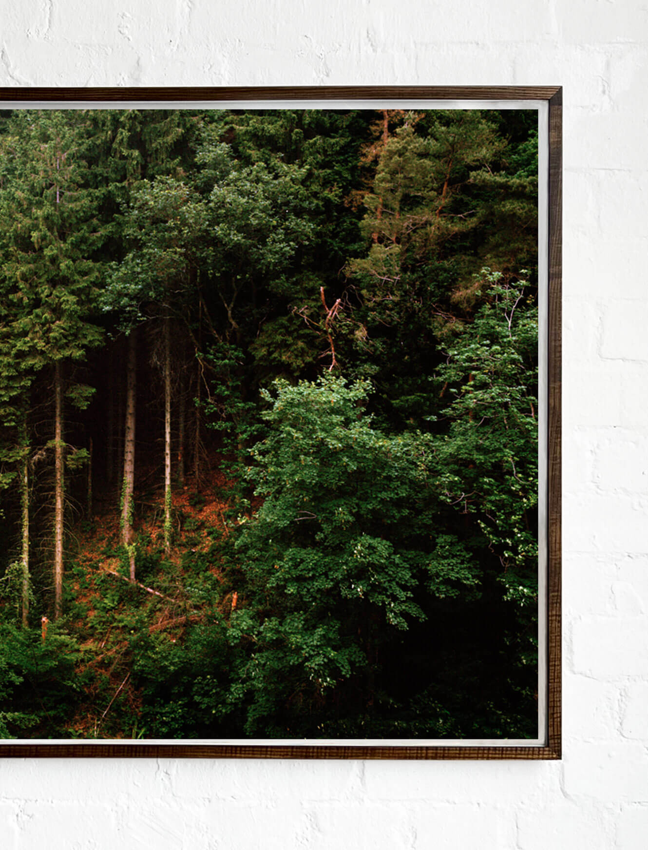 Edge of the Forest L - Image 3