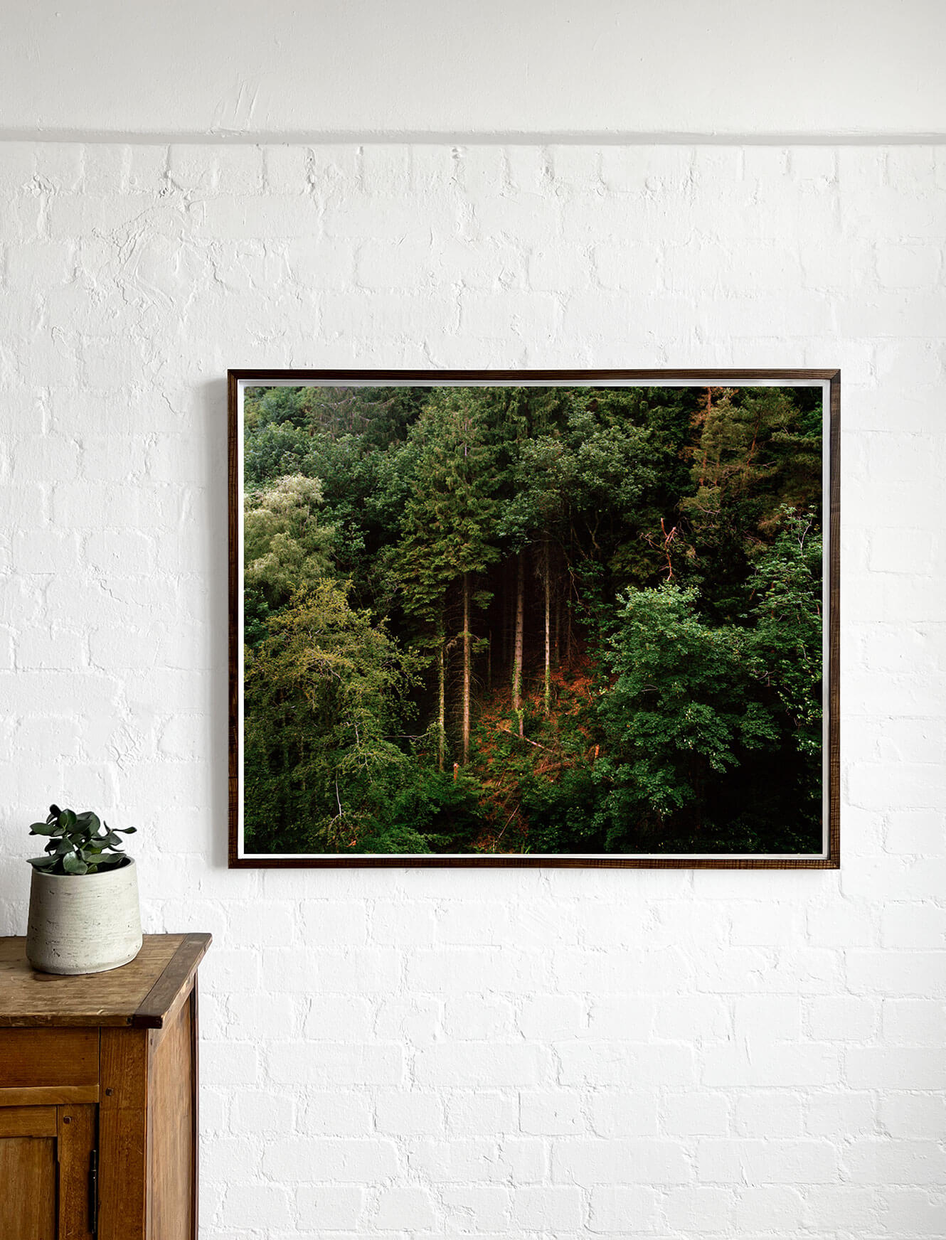 Edge of the Forest L