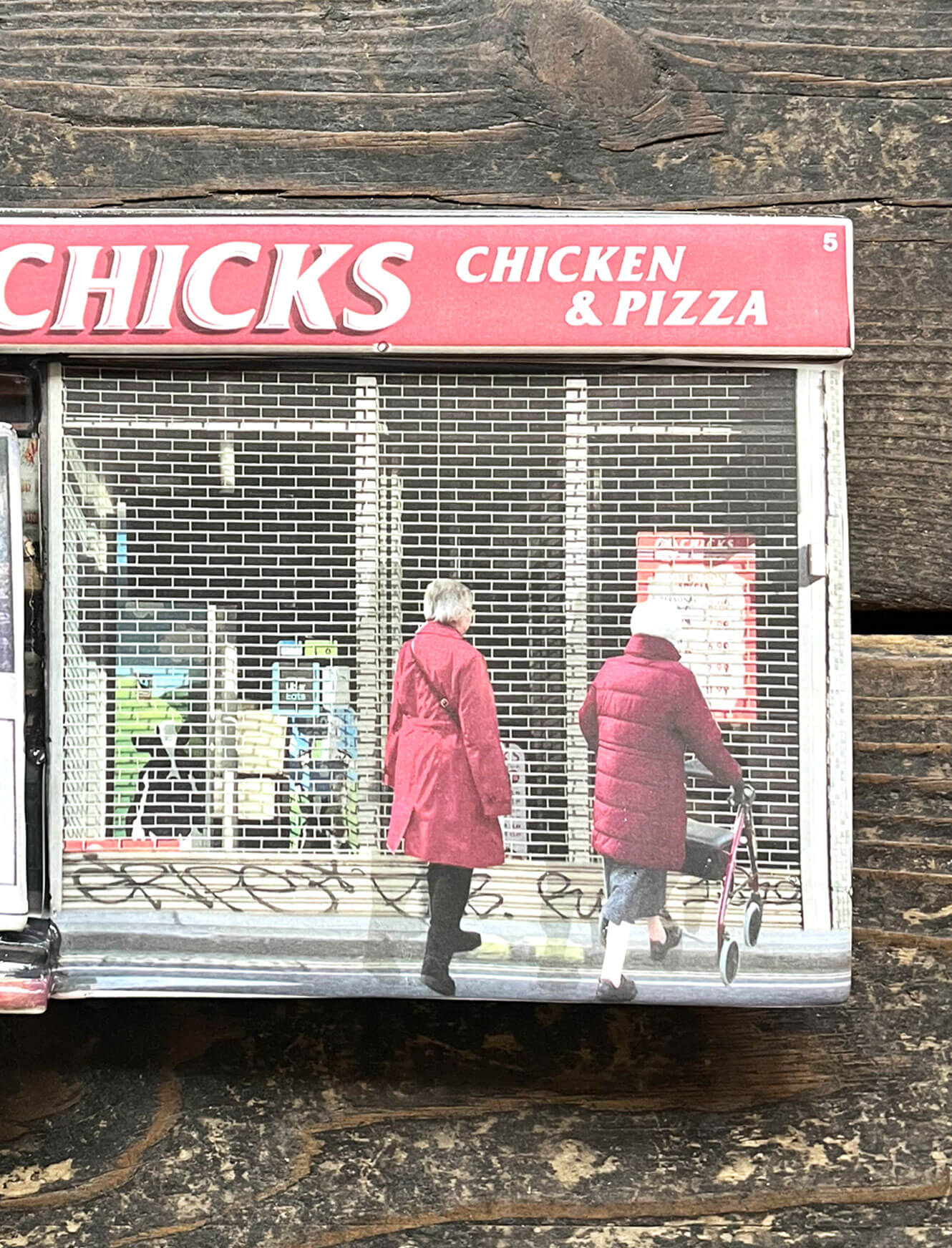 Chicks - Image 3