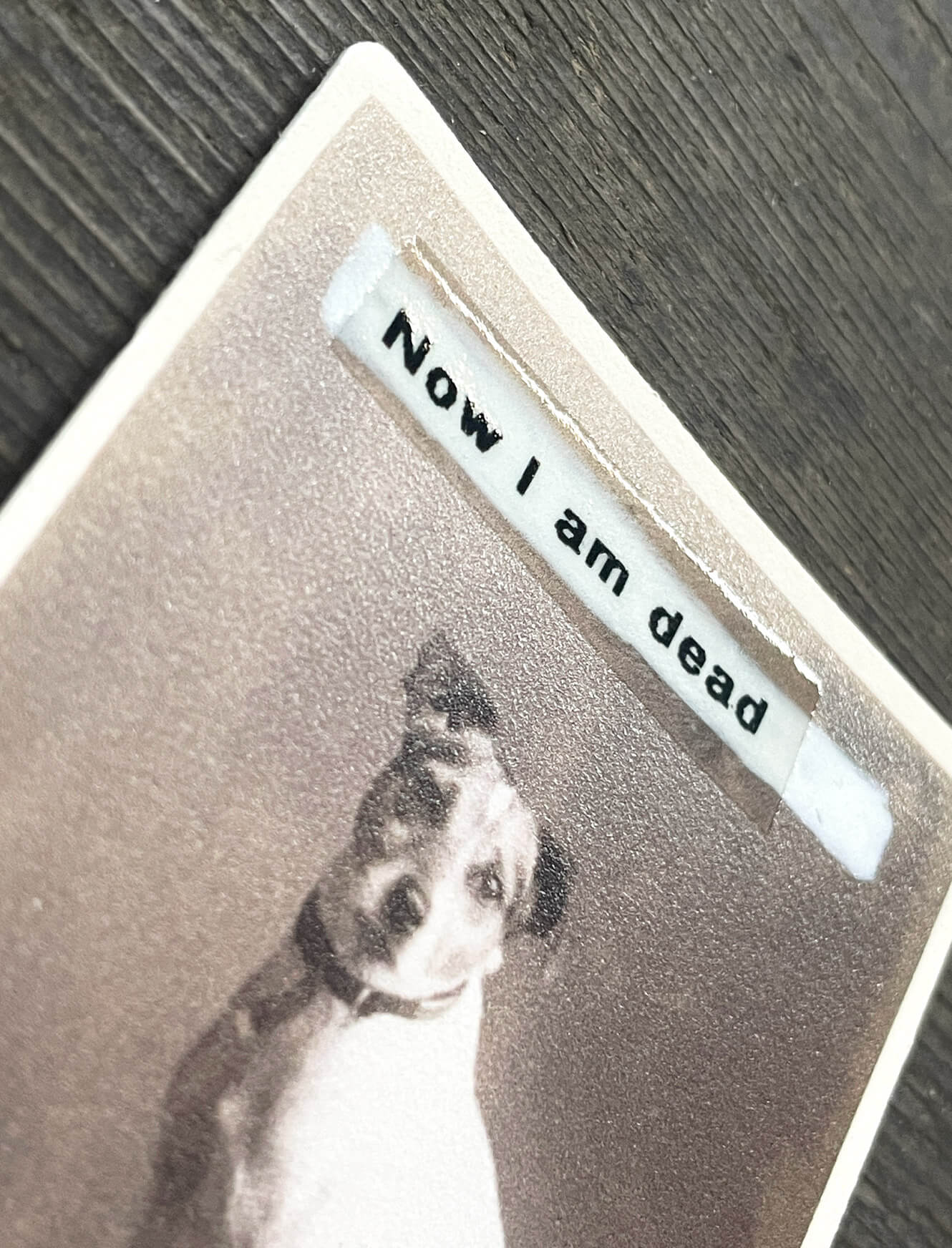 Now That I am Dead I Can Stop Giving Unconditional Love - Image 2