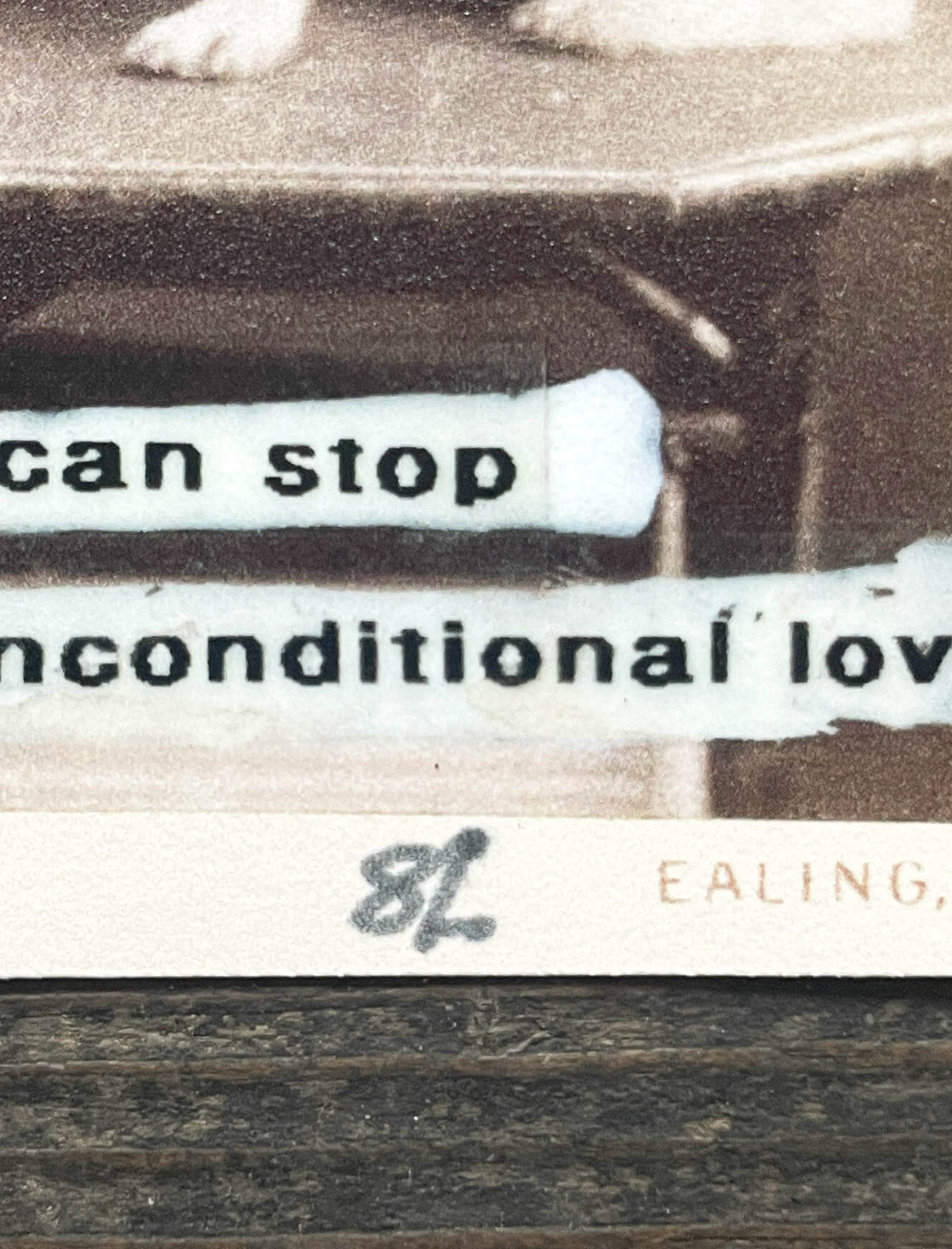 Now That I am Dead I Can Stop Giving Unconditional Love - Image 3