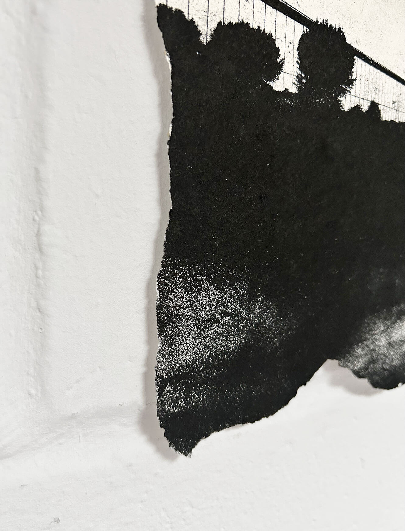 Marshes E10 - (BW) - Image 2