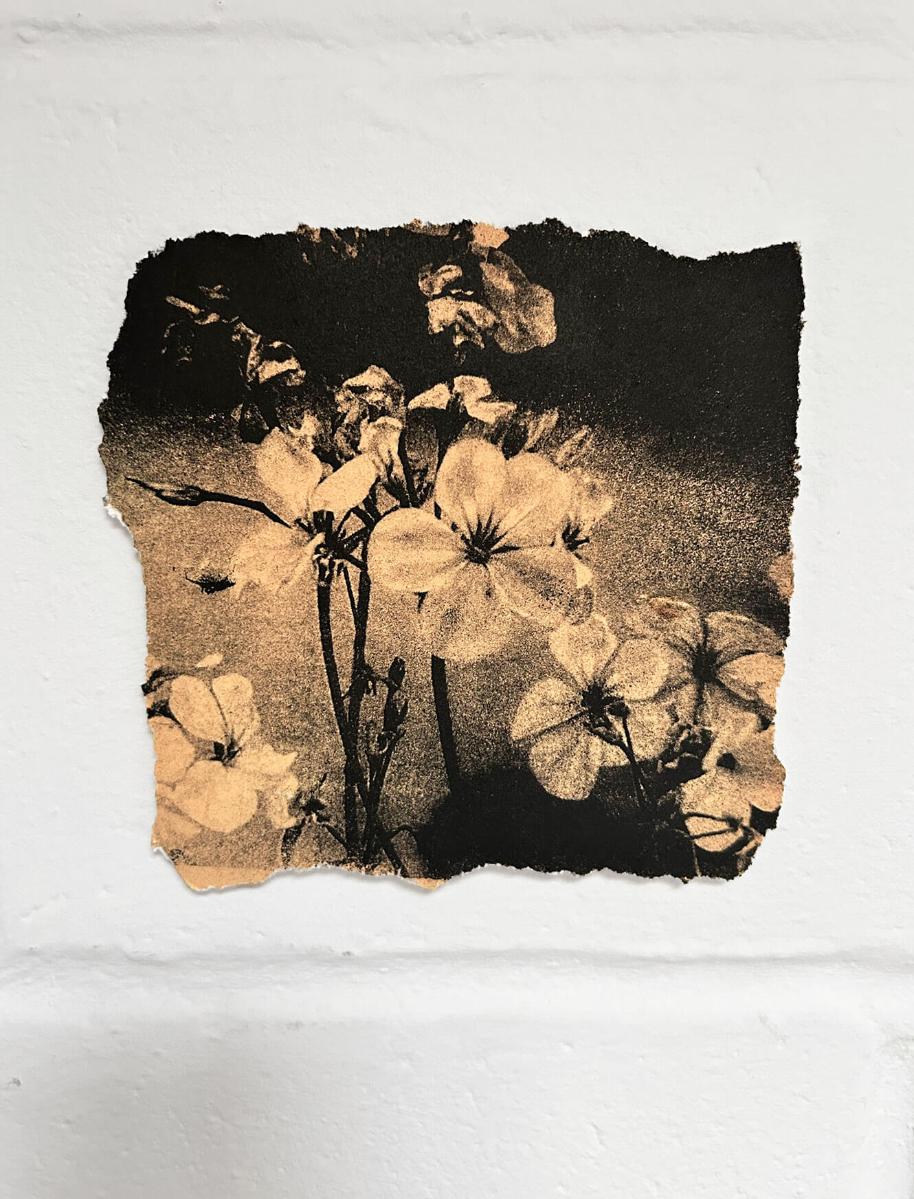 The Passing of Time Makes You Beautiful - (Terracotta)