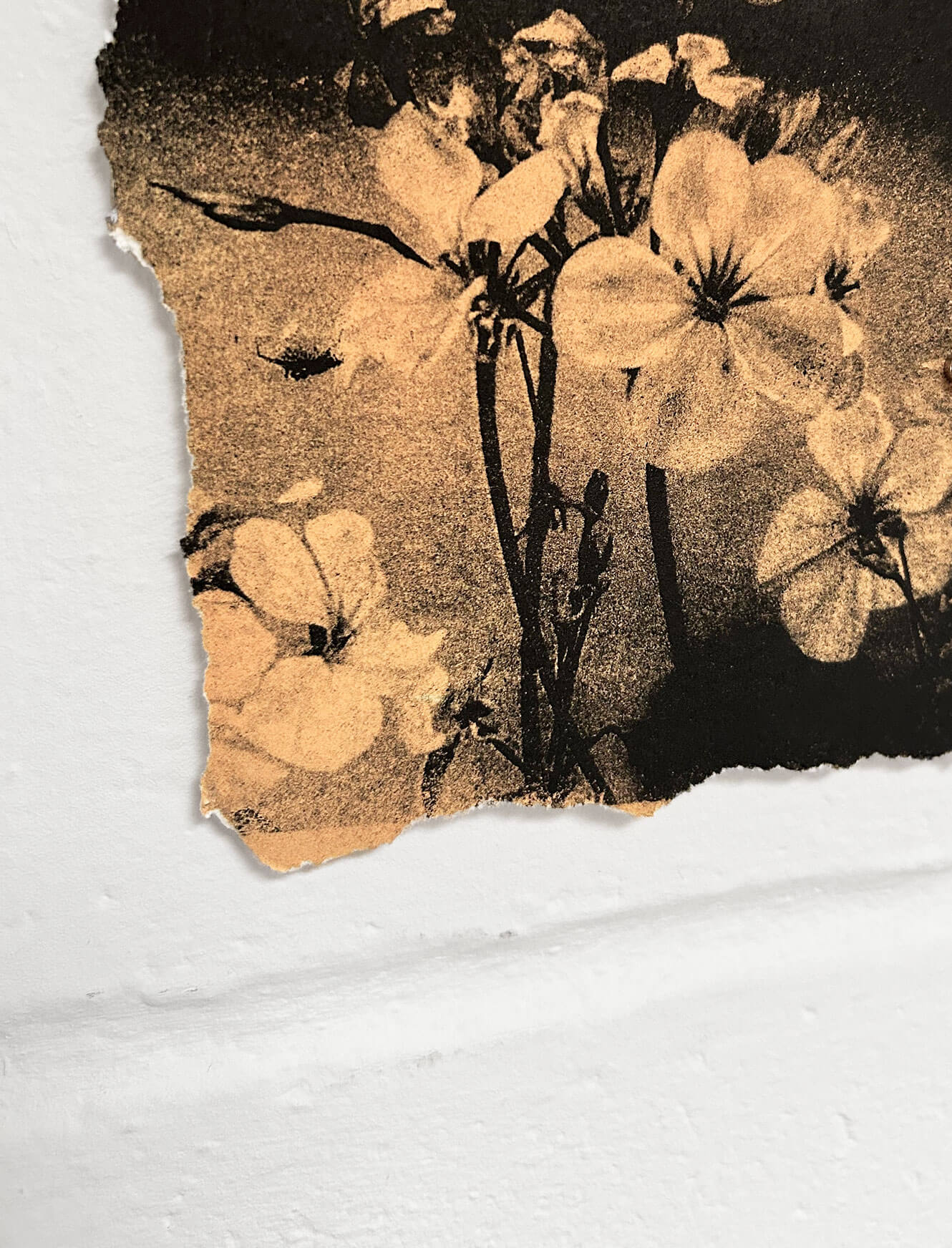 The Passing of Time Makes You Beautiful - (Terracotta) - Image 2