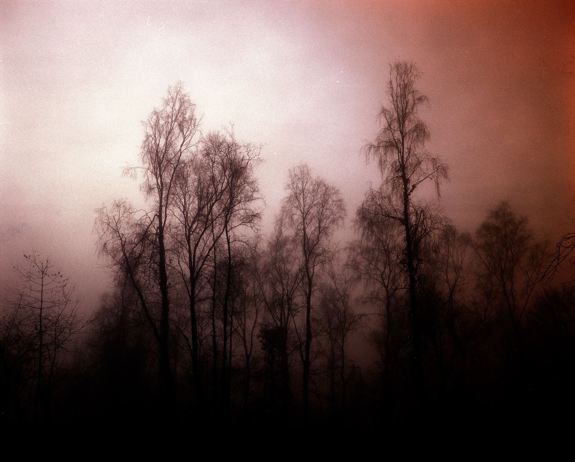 Half A Full Moon IV - XL - Image 2