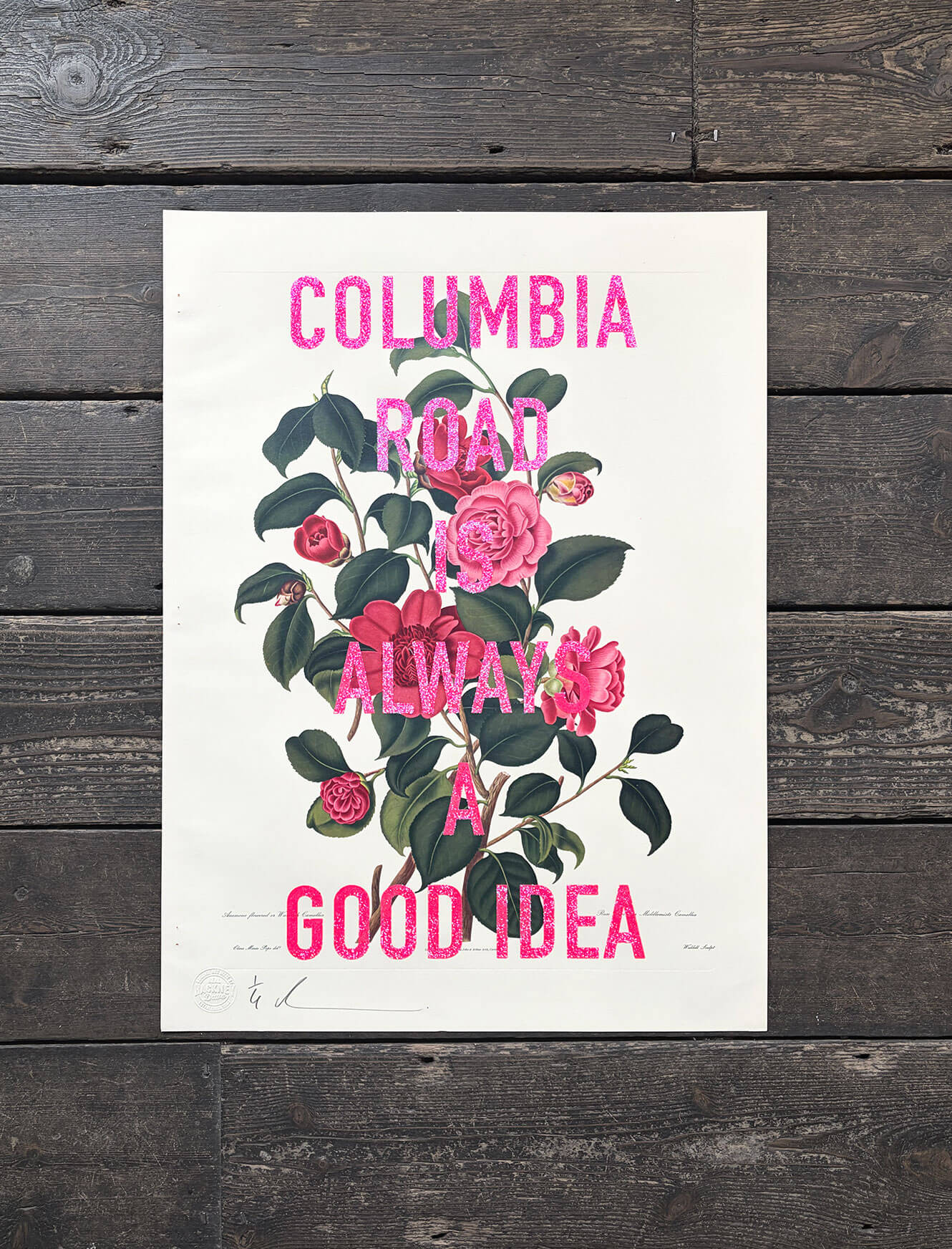 Columbia Road is Always a Good Idea 2/5