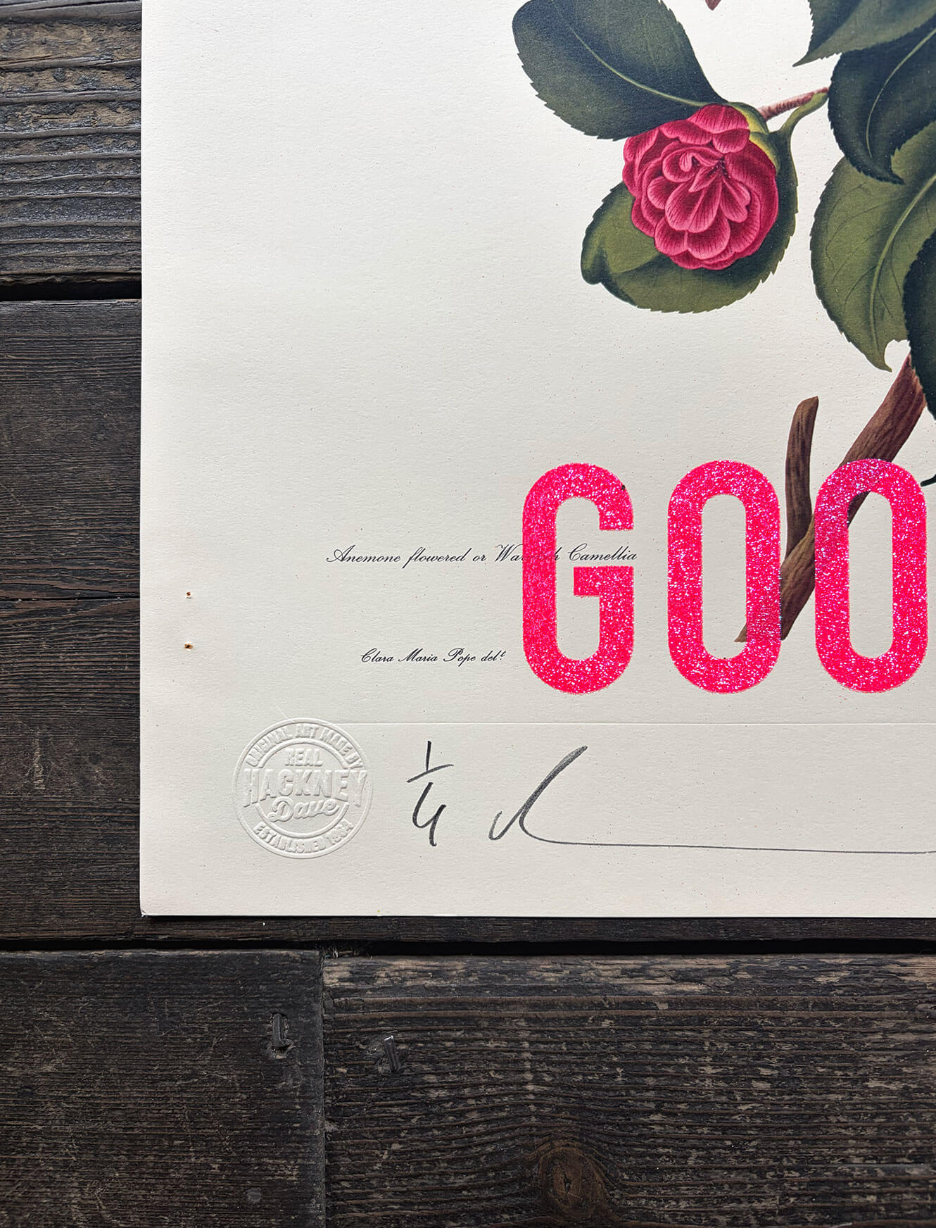 Columbia Road is Always a Good Idea 2/5 - Image 2