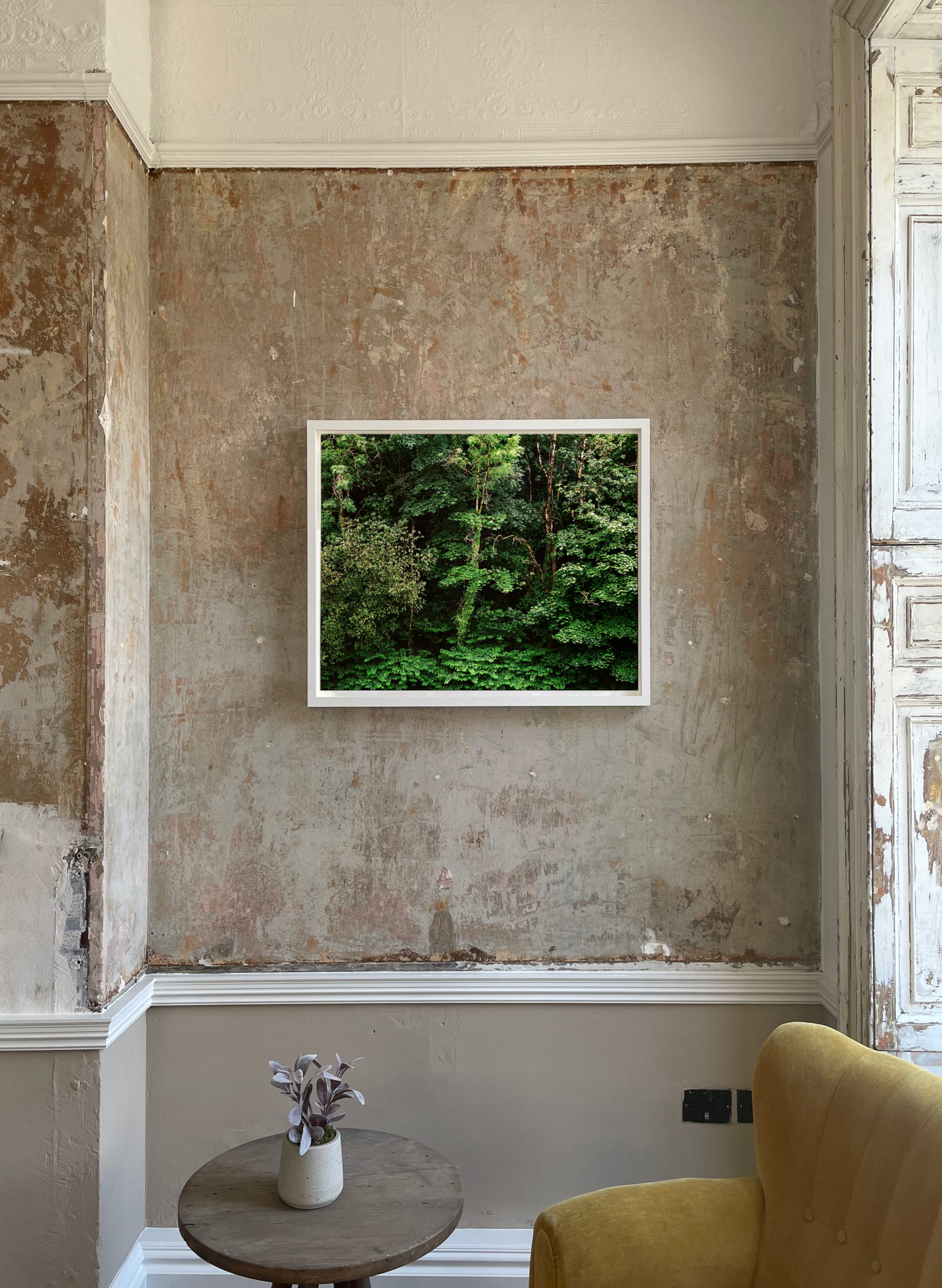 Edge of Summer Forest X - Half Size