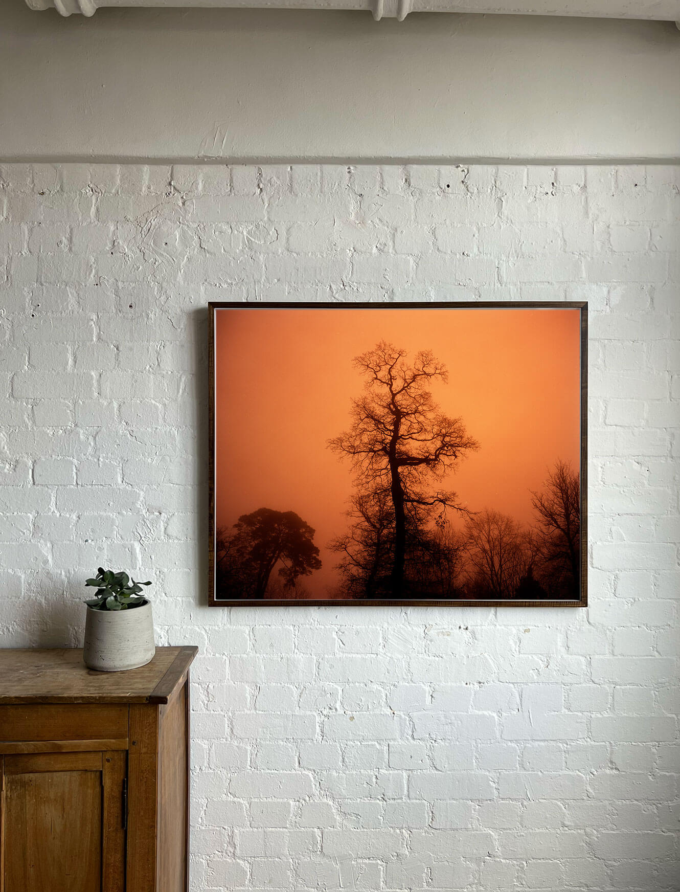 Half A Full Moon V XL