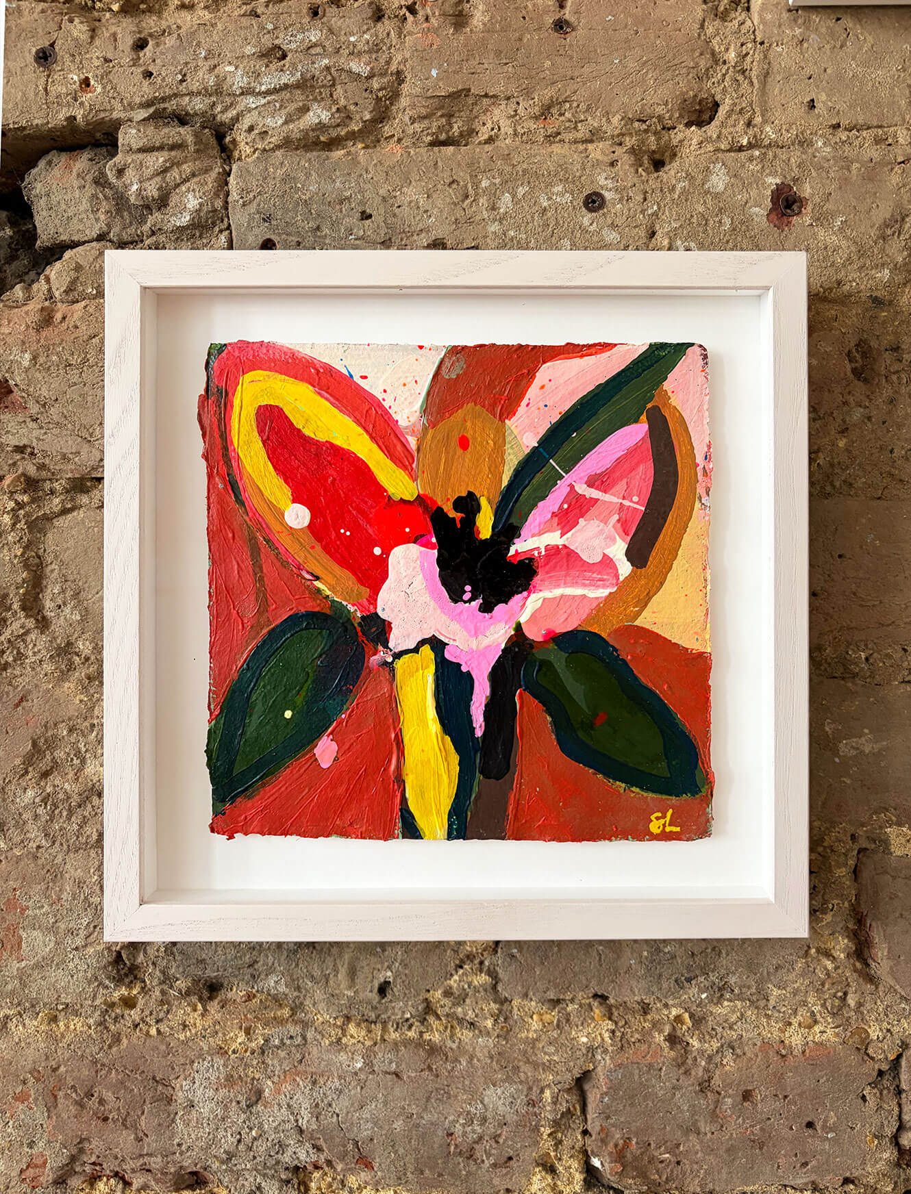 Amaryllis
